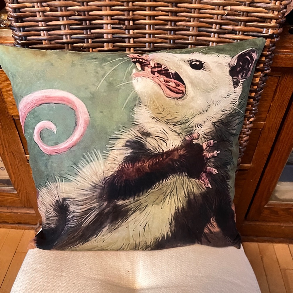 Unique Opossum Throw Pillow